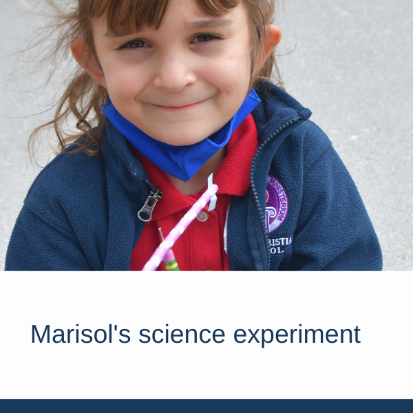 Marisol's science experiment